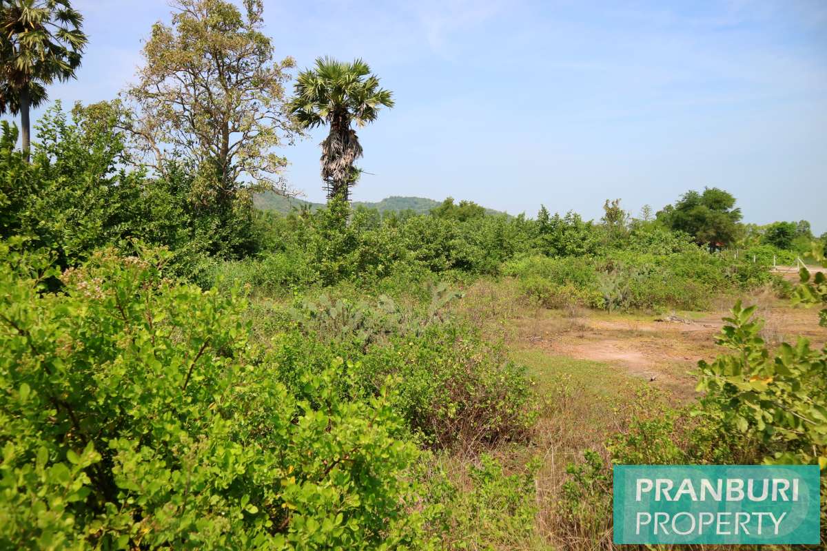 3 rai land plot for sale next to Hana Village in Nong Yai Khao Kalok