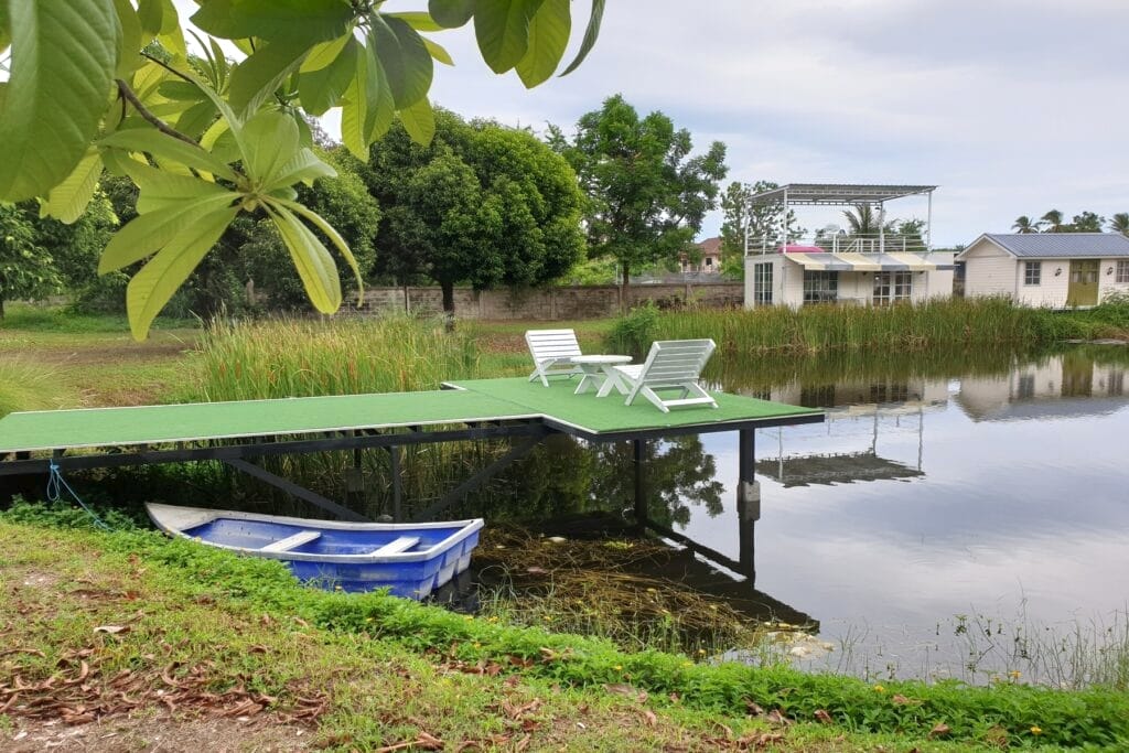 Things You Won't Like About Jintara And Things You Will