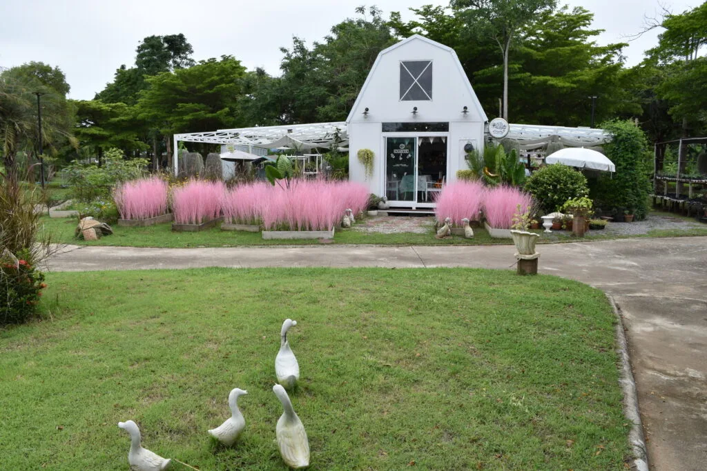 Rehab-Centre-Pranburi-Thailand-2 Affordable rehab center in Pranburi Thailand