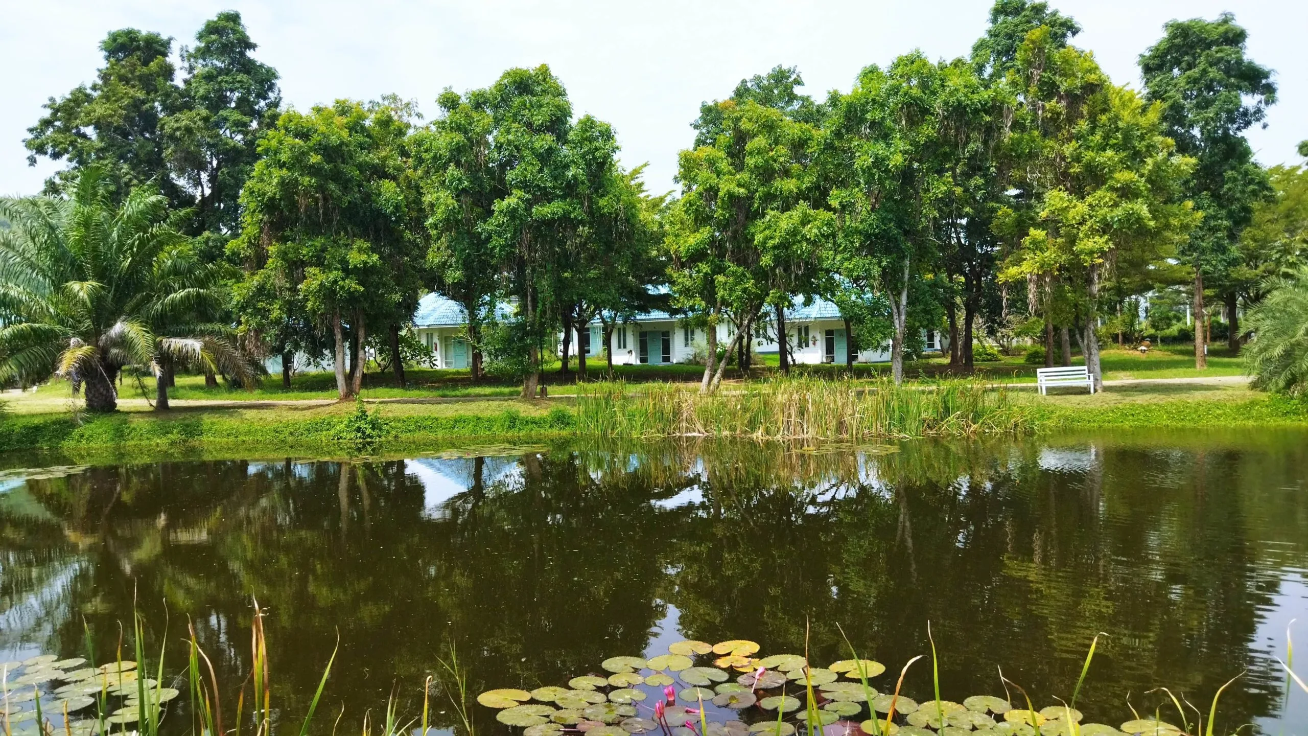 Rehab-Centre-Pranburi-Thailand-7-scaled Affordable rehab center in Pranburi Thailand