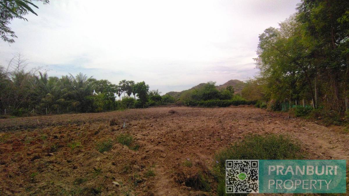 Land-for-sale-near-Khao-Kalok-Beach-Good-Price_006 The Best Property for sale in Khao Kalok Right Now! Updated: March 2026