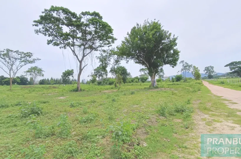 Hua_Hin_Prime_Location_Land_Sale_2026_004-818x540 Property for Sale in Pranburi & Hua Hin | Villas & Land Thailand